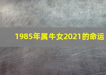 1985年属牛女2021的命运