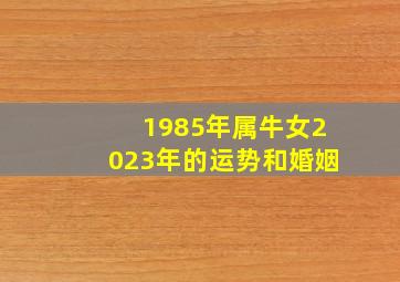 1985年属牛女2023年的运势和婚姻