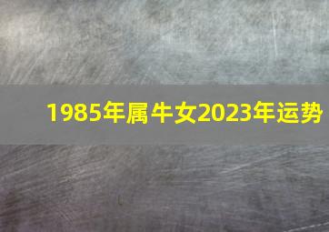 1985年属牛女2023年运势