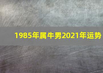 1985年属牛男2021年运势