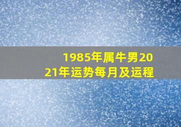 1985年属牛男2021年运势每月及运程