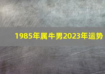 1985年属牛男2023年运势