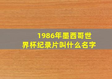 1986年墨西哥世界杯纪录片叫什么名字