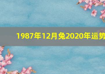 1987年12月兔2020年运势