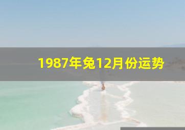 1987年兔12月份运势