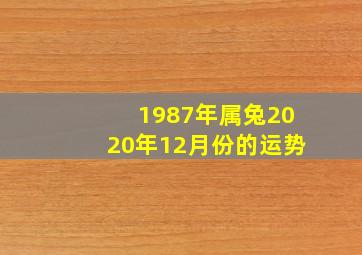 1987年属兔2020年12月份的运势