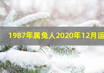 1987年属兔人2020年12月运势