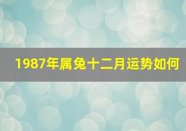 1987年属兔十二月运势如何