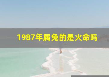 1987年属兔的是火命吗