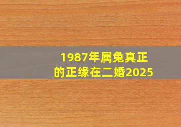 1987年属兔真正的正缘在二婚2025