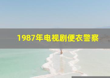 1987年电视剧便衣警察