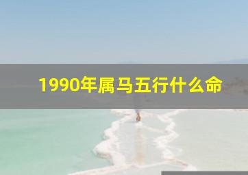 1990年属马五行什么命