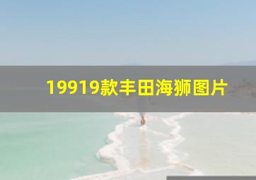 19919款丰田海狮图片