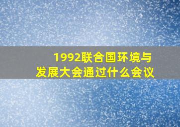 1992联合国环境与发展大会通过什么会议