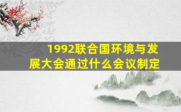 1992联合国环境与发展大会通过什么会议制定