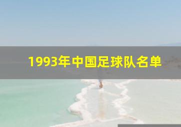 1993年中国足球队名单