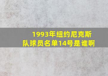 1993年纽约尼克斯队球员名单14号是谁啊