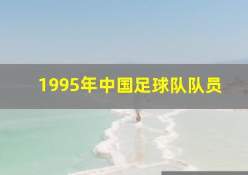 1995年中国足球队队员