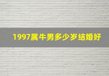 1997属牛男多少岁结婚好