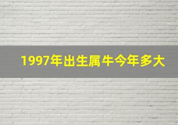 1997年出生属牛今年多大