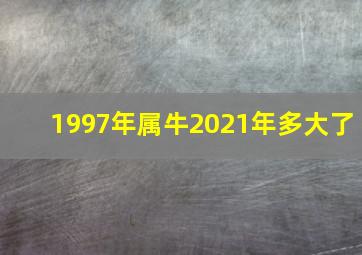 1997年属牛2021年多大了