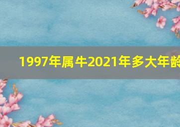 1997年属牛2021年多大年龄