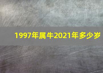 1997年属牛2021年多少岁