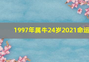 1997年属牛24岁2021命运