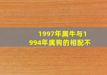 1997年属牛与1994年属狗的相配不