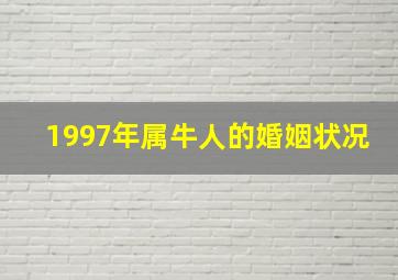 1997年属牛人的婚姻状况