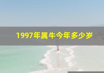 1997年属牛今年多少岁