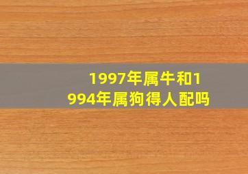 1997年属牛和1994年属狗得人配吗