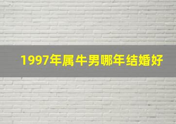 1997年属牛男哪年结婚好