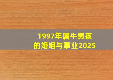 1997年属牛男孩的婚姻与事业2025