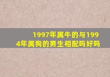 1997年属牛的与1994年属狗的男生相配吗好吗