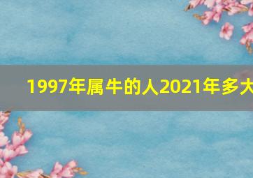 1997年属牛的人2021年多大