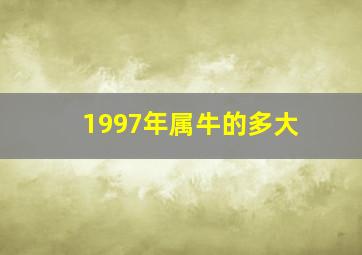 1997年属牛的多大