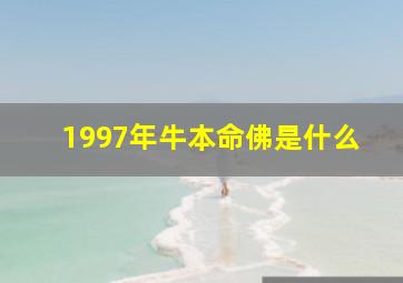 1997年牛本命佛是什么