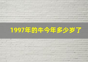 1997年的牛今年多少岁了