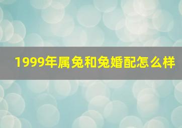 1999年属兔和兔婚配怎么样