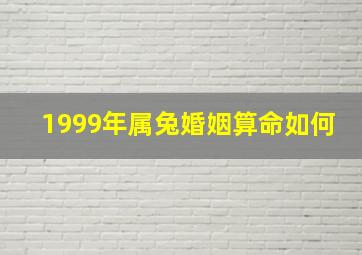 1999年属兔婚姻算命如何