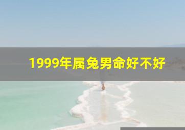 1999年属兔男命好不好