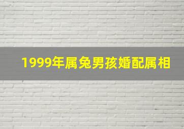 1999年属兔男孩婚配属相