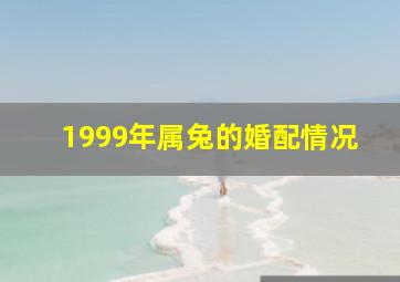 1999年属兔的婚配情况