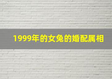 1999年的女兔的婚配属相