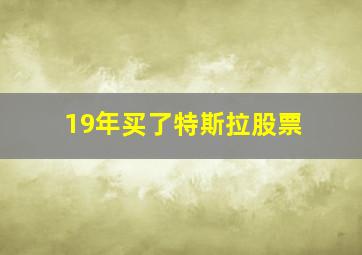 19年买了特斯拉股票