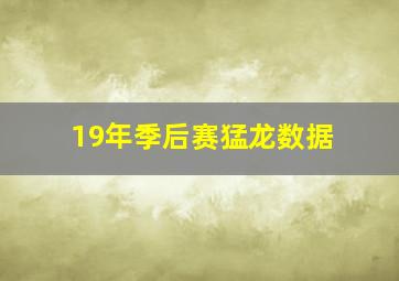 19年季后赛猛龙数据