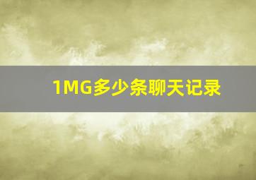 1MG多少条聊天记录