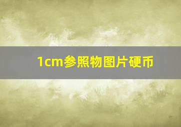 1cm参照物图片硬币