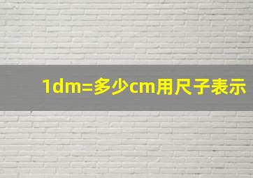 1dm=多少cm用尺子表示